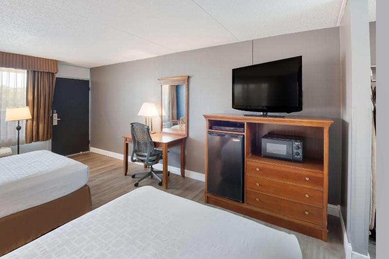 Double Room with Two Double Beds - Pet-Friendly image 3
