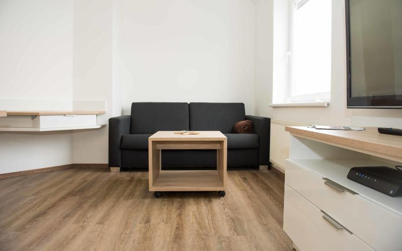 One-Bedroom Apartment image 4