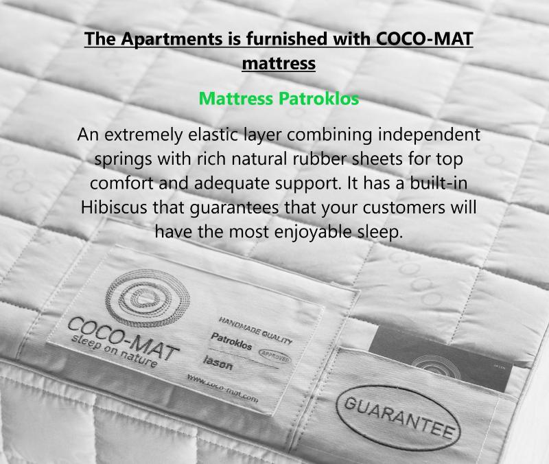 Comfort apartment ground floor image 1