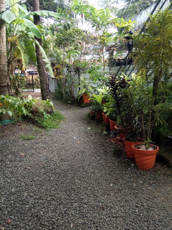 Coconut Grove - image 2