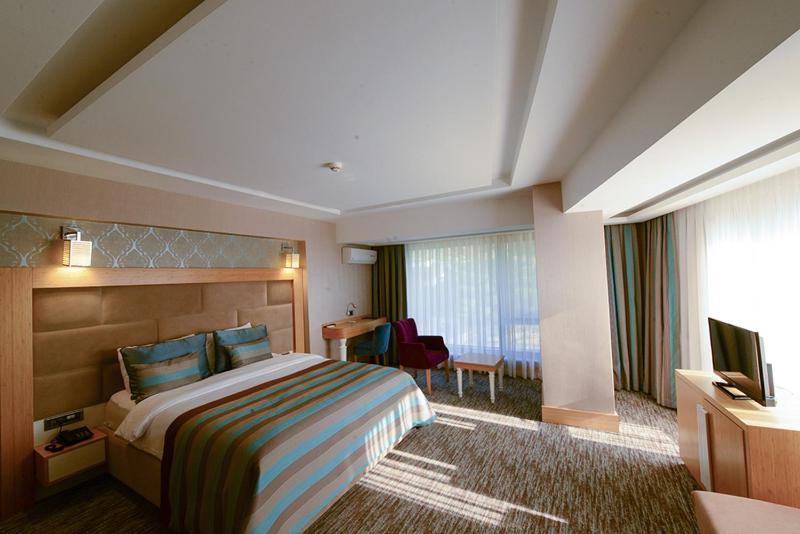 Deluxe Double or Twin Room image 3