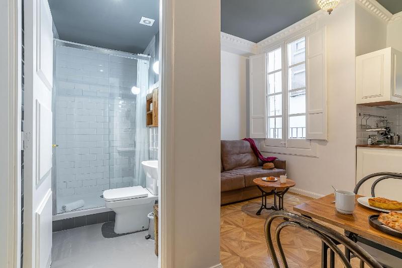 Casa Gracia Apartments - image 3