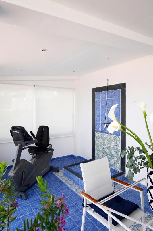 Attic Room with Private Solarium Terrace image 4
