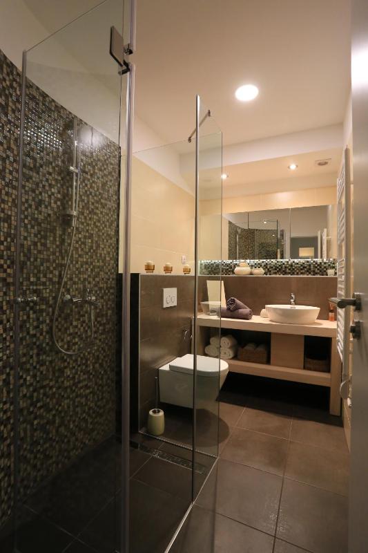 One-Bedroom Apartment image 2