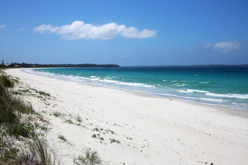 Gingers I Pet Friendly I 4 Min Walk to Beach - image 40