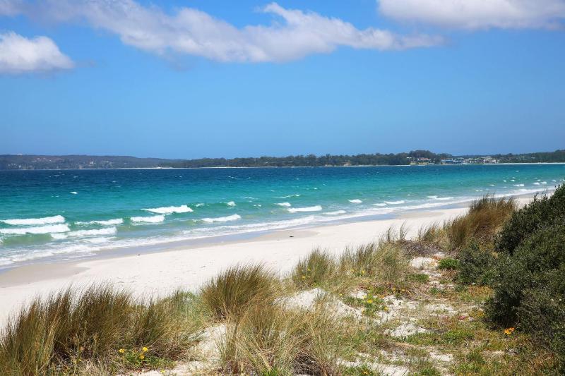 Gingers I Pet Friendly I 4 Min Walk to Beach - image 27