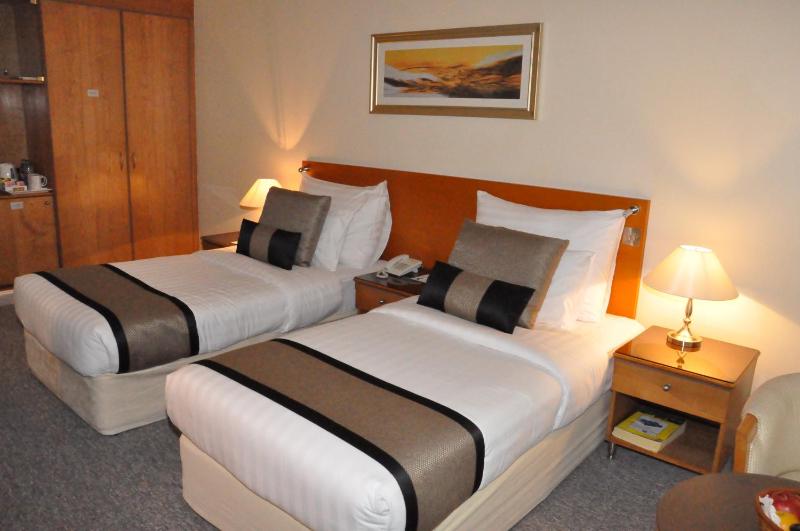 Standard Twin Room image 3