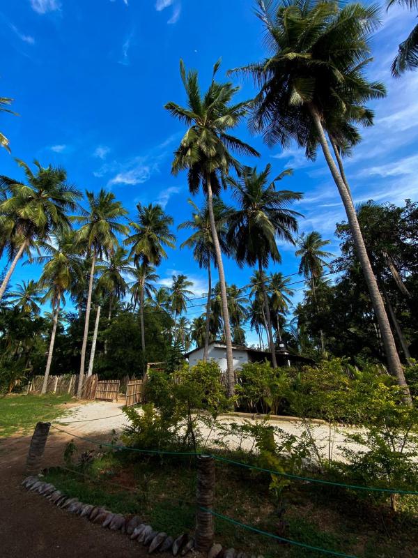 Elena Garden Resort and Restaurant - image 30