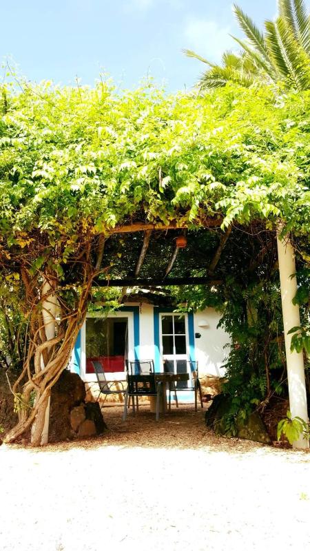 Two-Bedroom House with Patio image 1