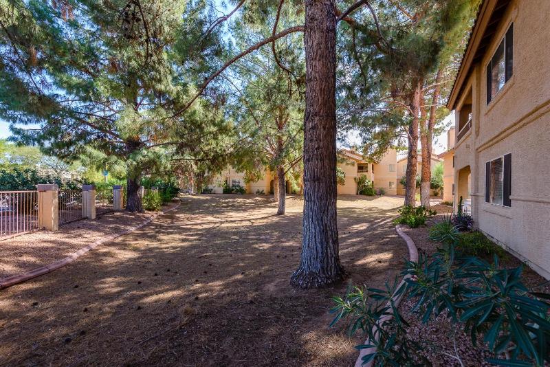Villa Starfire - image 7