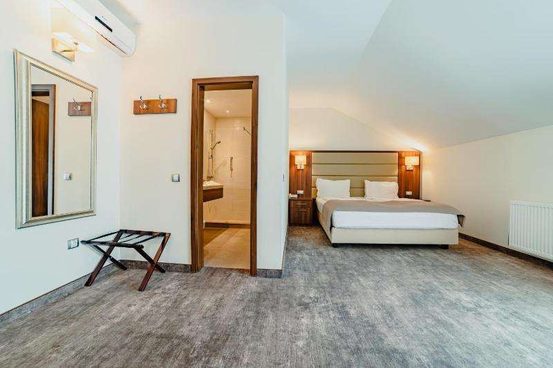 Superior Double Room image 3