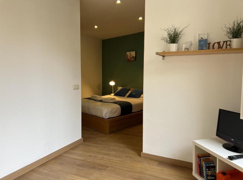 Ripoll Apartments - image 7