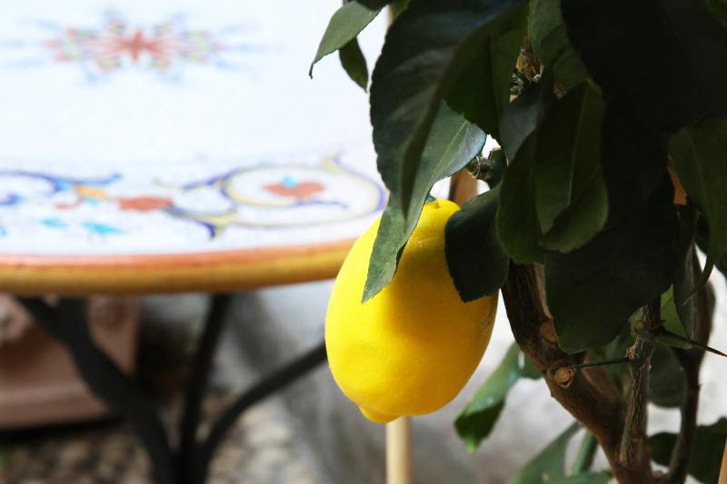La Terrazza dei Limoni Images