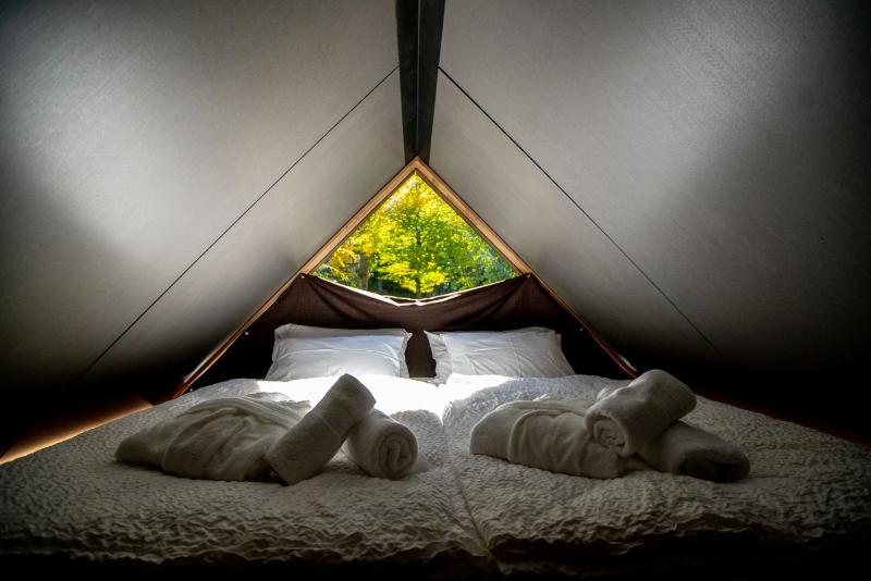 Superior Apartment image 2