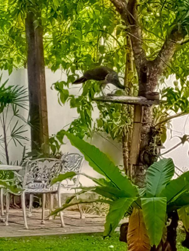 Olee Villa - image 17