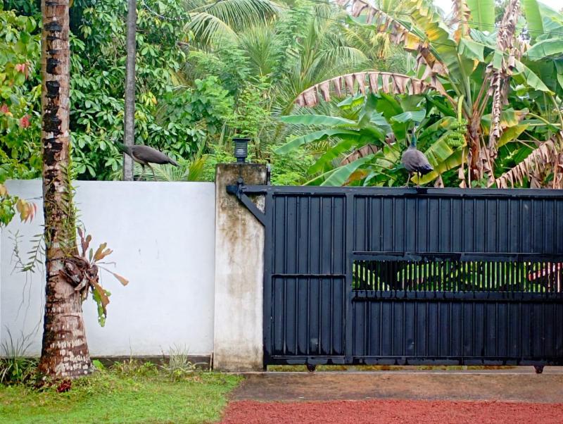 Olee Villa - image 8
