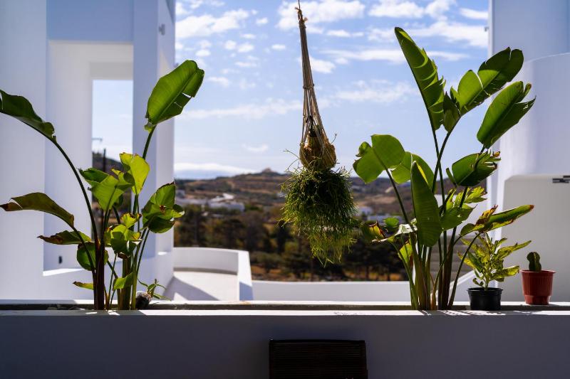 Kouros Blanc Resort & Suites - image 7
