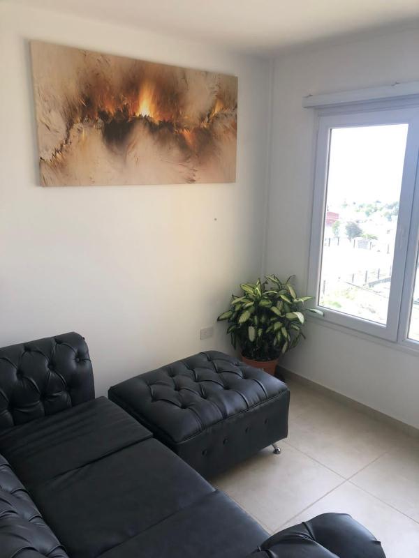 Dolores House PREMIUM - image 10
