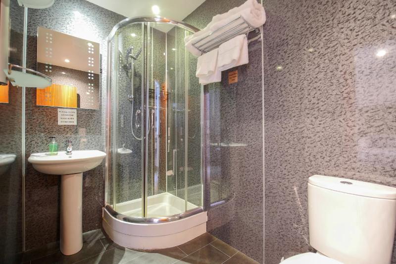 Deluxe Double or Twin Room image 4