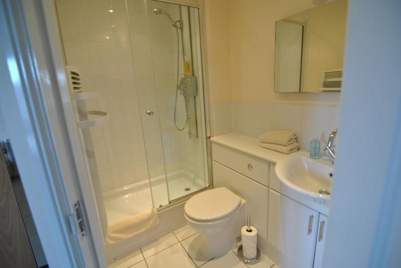 Three-Bedroom Apartment image 4