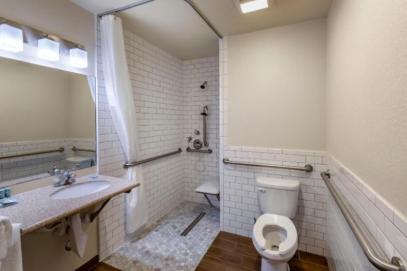 King Room - Disability Access Roll in Shower image 2