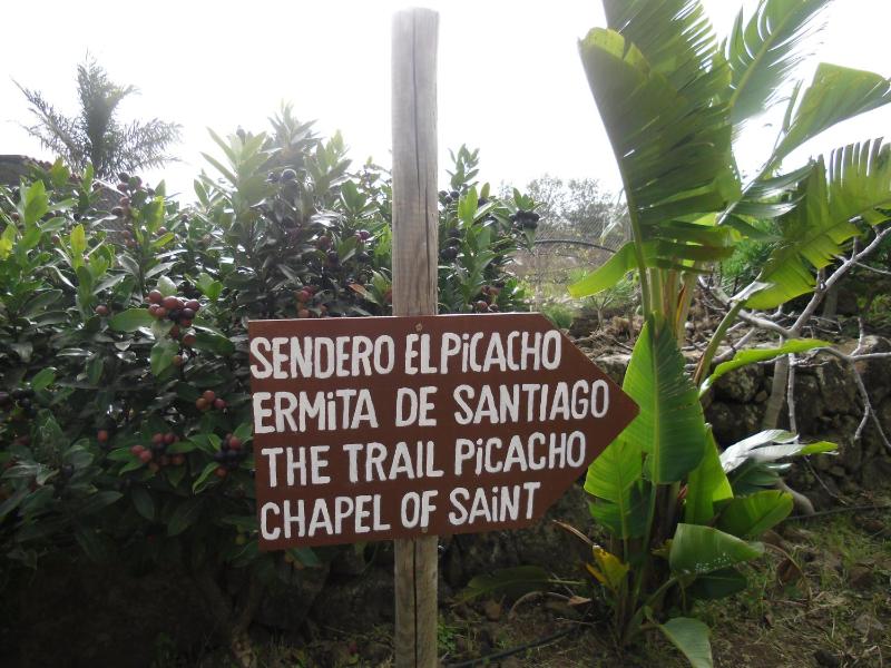 Two-Bedroom Apartment (4 Adults) image 4