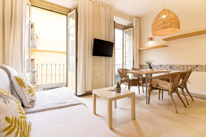 Malaga Center Flat La Victoria City Center Images
