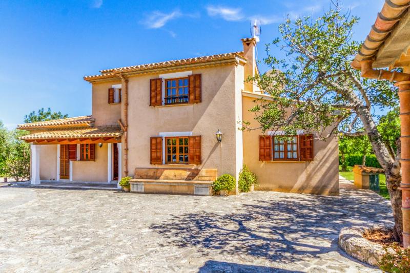 Pollensa - 3507-75 Mallorca - rei petit- - image 9
