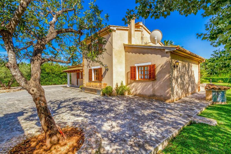 Pollensa - 3507-75 Mallorca - rei petit- - image 26