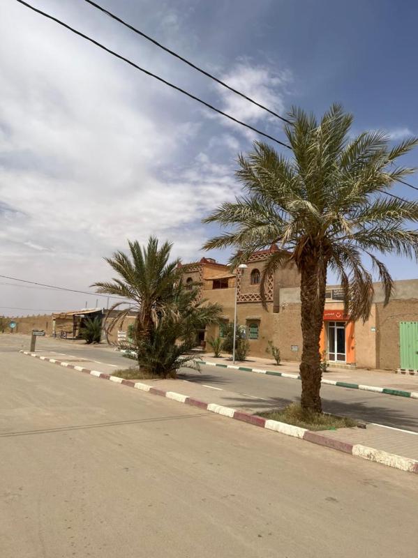 Riad Aicha & Camel Trekking - image 24