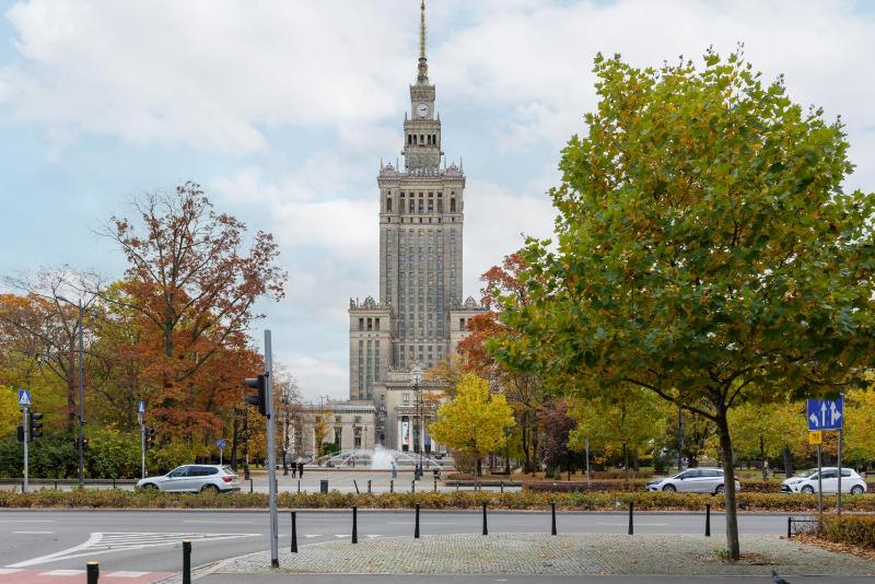 One-Bedroom Apartment image 4