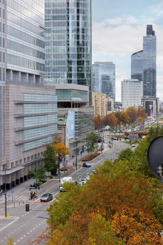 One-Bedroom Apartment image 3