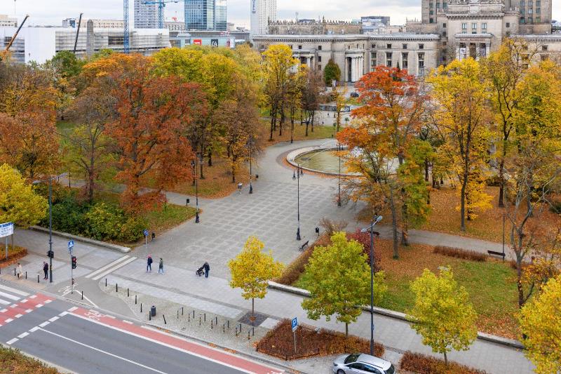 One-Bedroom Apartment image 2