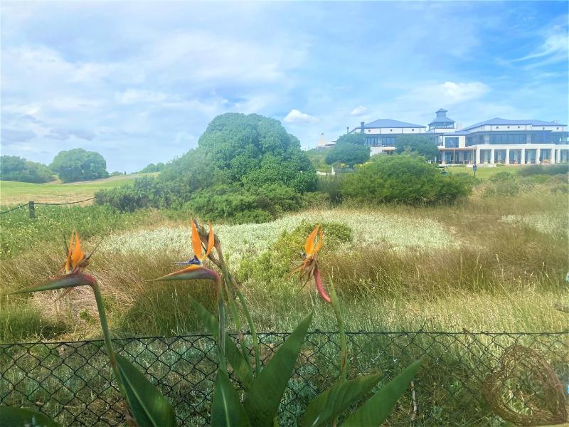 Superior Queen Room image 4