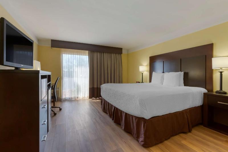 King Room image 4