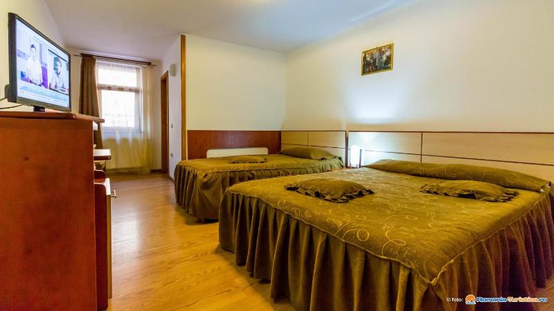 Comfort Triple Room with Shower image 2
