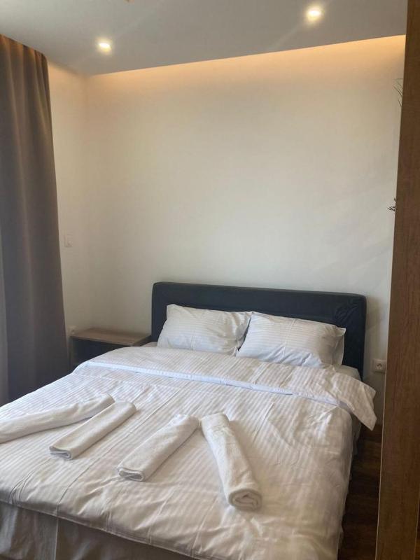 Kopaonik presidentKop apartman - image 3