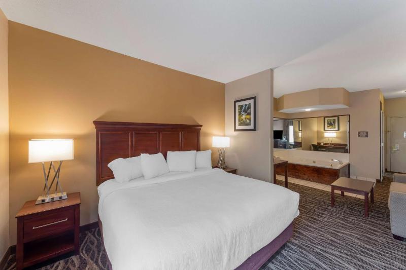 King Suite - Non-Smoking image 4