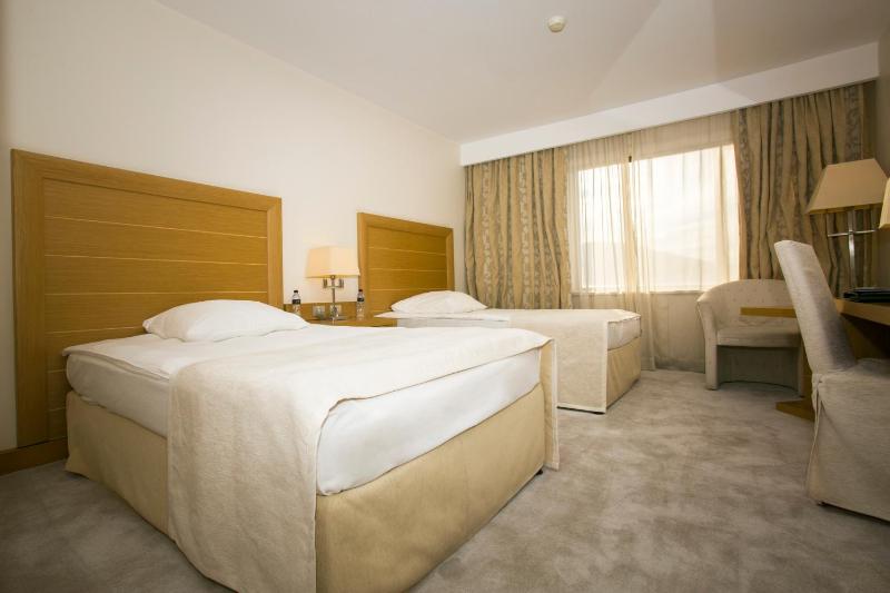 Standard Twin Room image 1