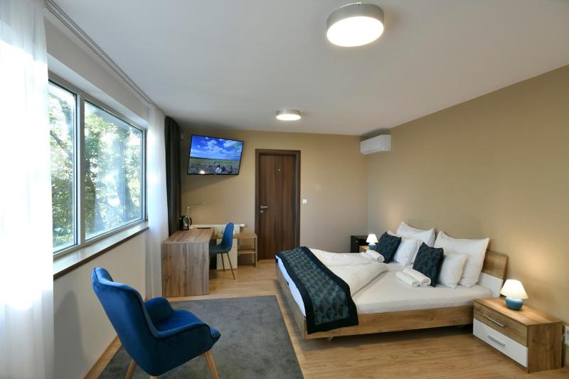 Deluxe Double Room with Donau River View image 1
