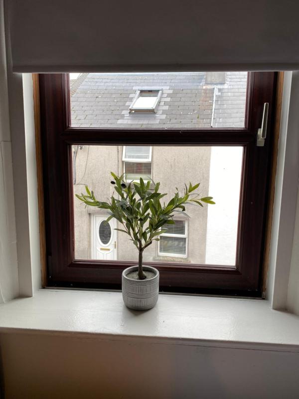 Woodquay House - image 2
