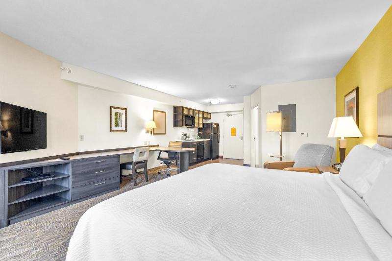 King Studio Suite image 3