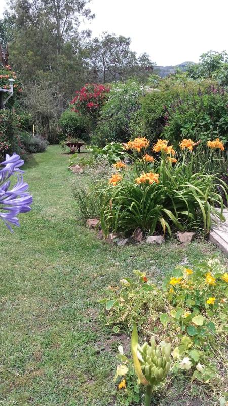 Habitación Hemerocallis - Hospedaje Lo De Juan y Mabel - image 21