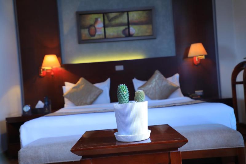 Superior Single Room