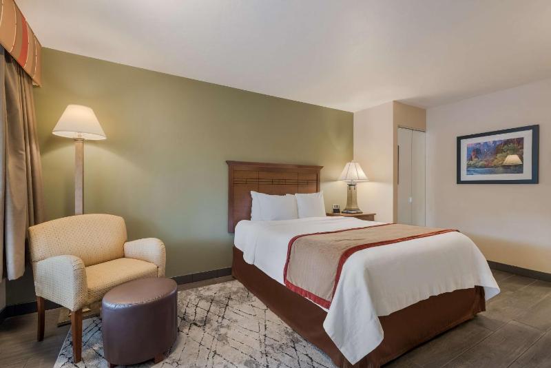 Queen Room with Roll-In Shower - Disability Access