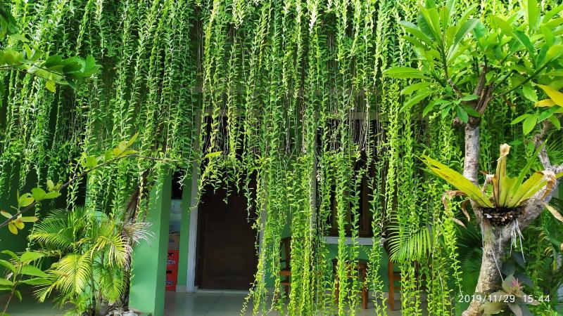 PURNAMA HOUSE KUTA - image 3