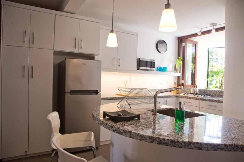 CABARETE BEACH HOUSES the NANNY ESTATES - image 24