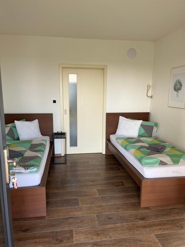 Twin Room with Terrace image 1