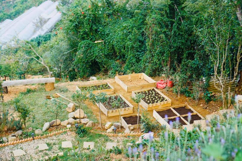 Lengkeng Da Lat Homestay - image 49