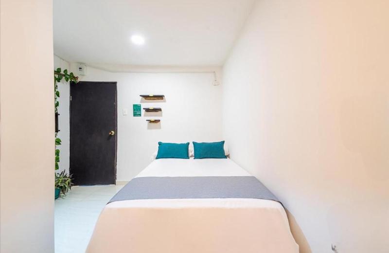 Hostal Casa Tropicalia - image 5
